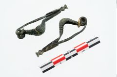 Foto von Bronzepaukenfibel (NHMW-PRAE-025985)
